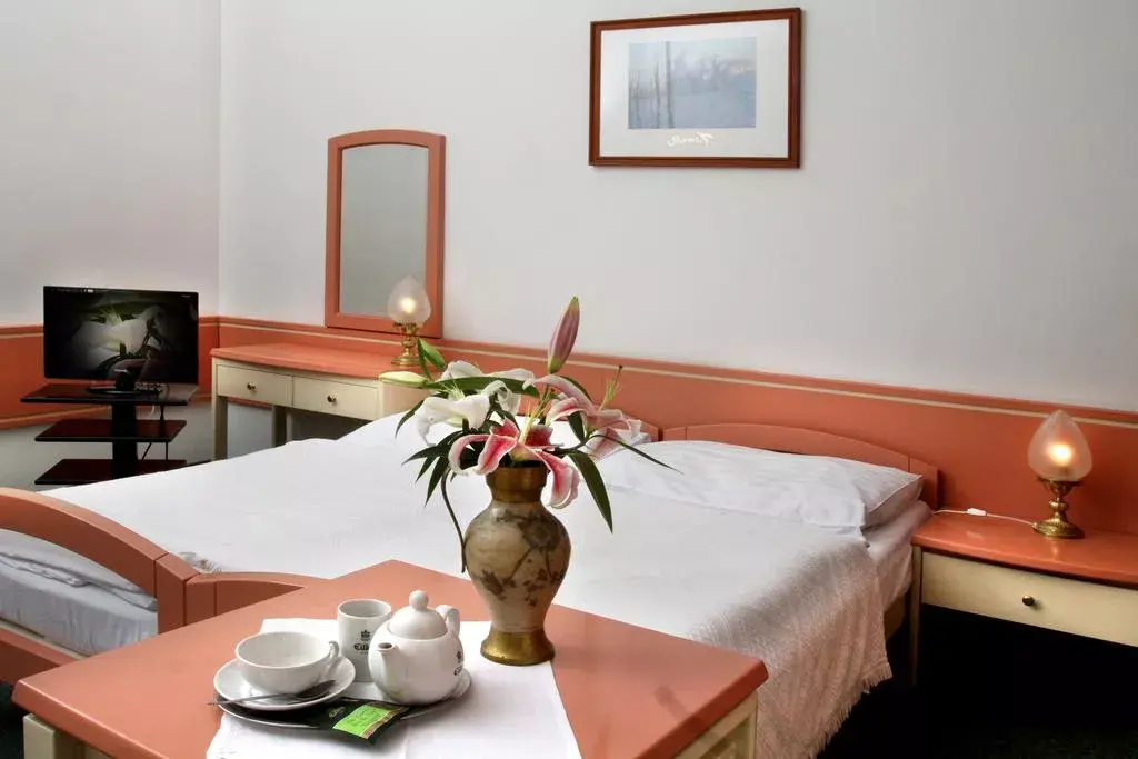 Photo 4 of Hotel Maxim